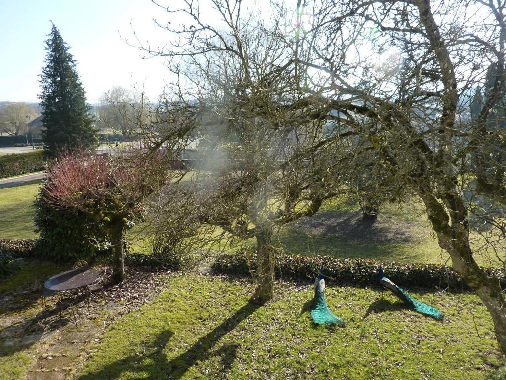 Chambres D'Hotes La Corne Aux Vaches Frétigney-et-Velloreille Kültér fotó