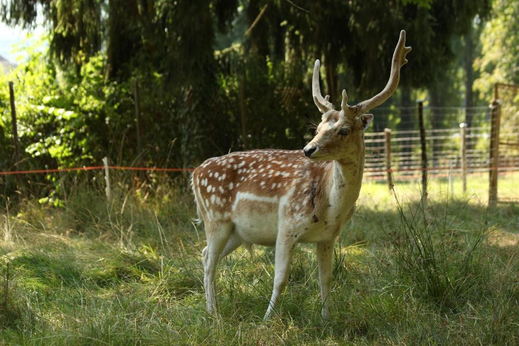 Chambres D'Hotes La Corne Aux Vaches Frétigney-et-Velloreille Kültér fotó